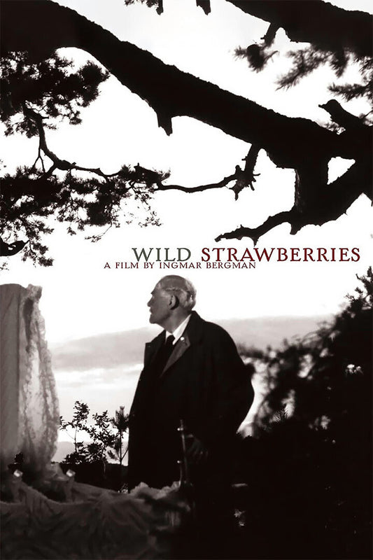 Wild Strawberries Movie Drama Romantic Poster Wall Art Print Home Wall Decor - xonomax