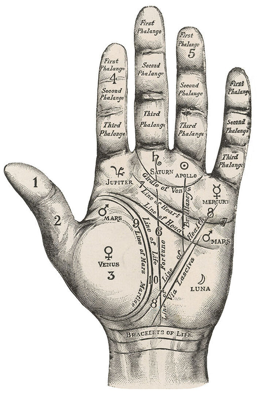 Unusual Vintage Style Palmistry Chart Poster Wall Art Print Home Wall Decor - xonomax