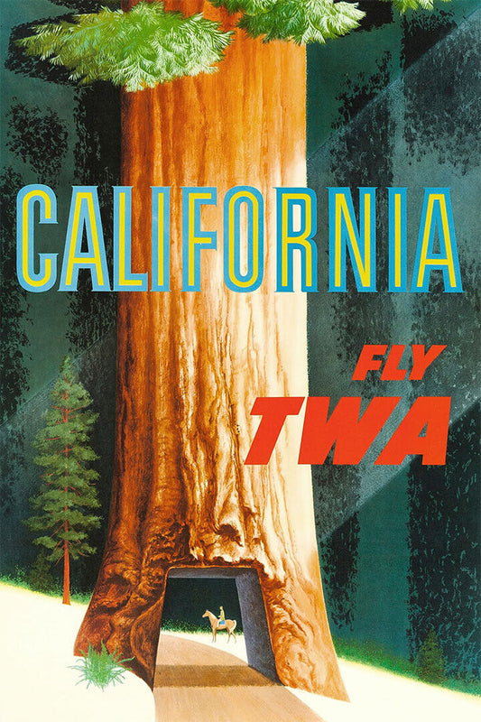 California Redwoods 1950s Twa Airline Vintage Travel Poster Wall Art Print Home Wall Decor - xonomax
