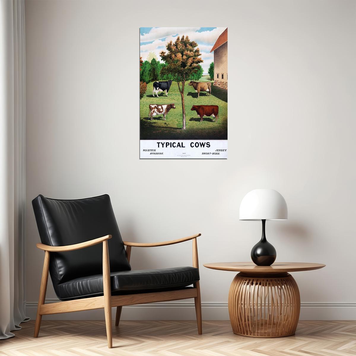 Holstein Ayrshire Typical Cows Are Grazing Poster Wall Art Print Home Wall Decor - xonomax