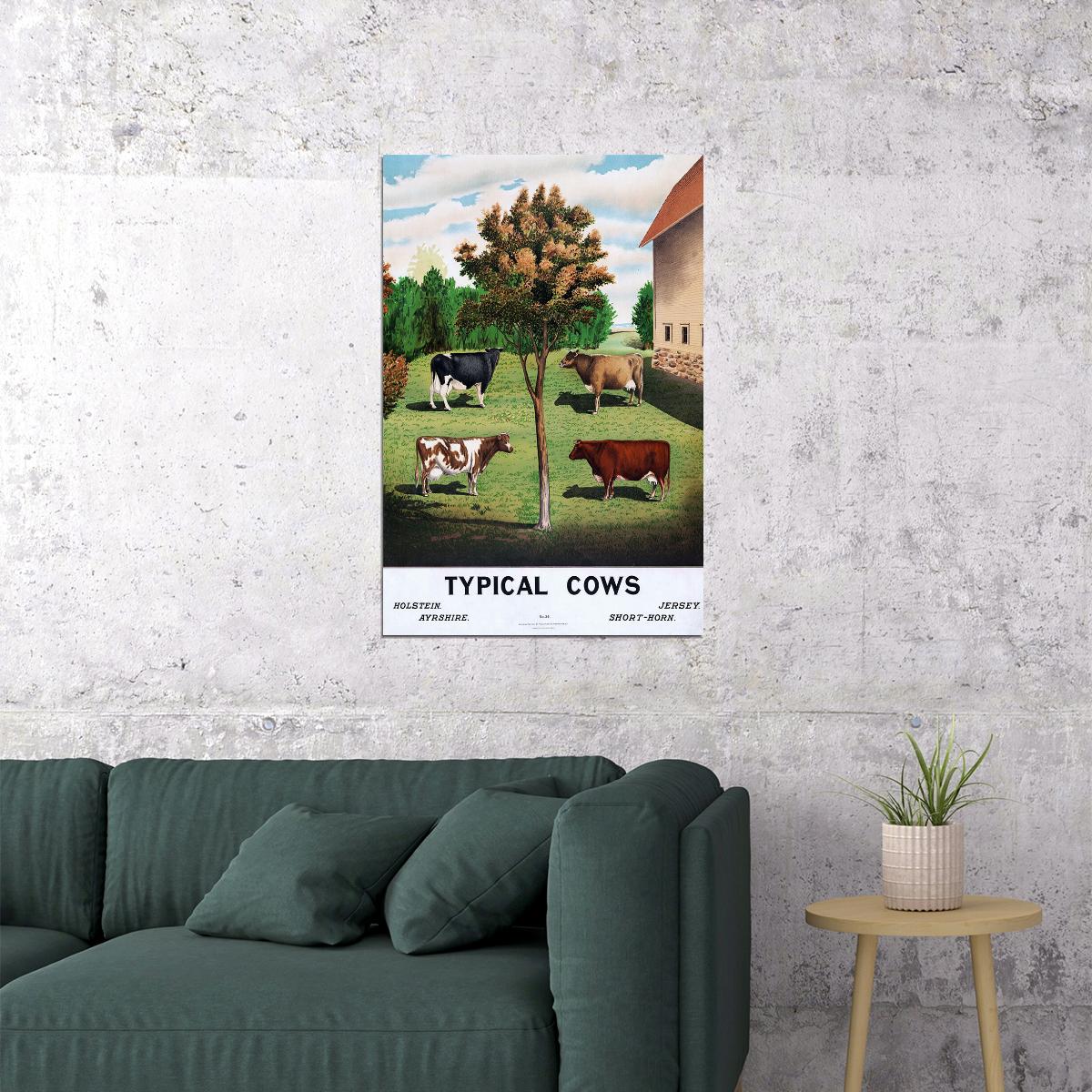 Holstein Ayrshire Typical Cows Are Grazing Poster Wall Art Print Home Wall Decor - xonomax