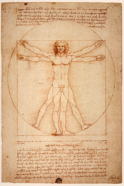 Vitruvian Man Leonardo Da Vinci Drawing Historic Poster Wall Art Print Home Wall Decor