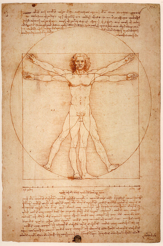 Vitruvian Man Leonardo Da Vinci Drawing Historic Poster Wall Art Print Home Wall Decor - xonomax
