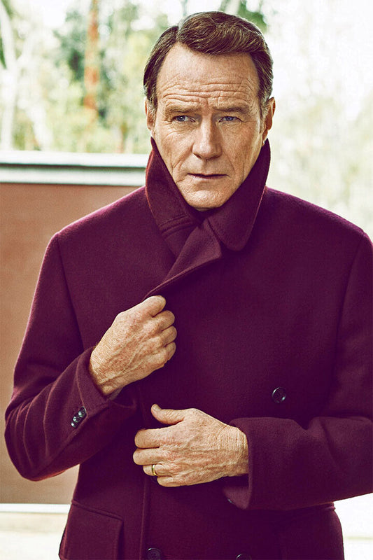 Bryan Cranston American Actor And Filmmaker Poster Wall Art Print Home Wall Decor - xonomax