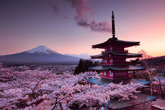 Cherry Blossoms Japanese Castle Mount Fuj Poster Wall Art Print Home Wall Decor - xonomax