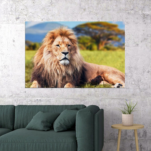 Wild Lion Dangerous Animals Nature Poster Wall Art Print Home Wall Decor - xonomax