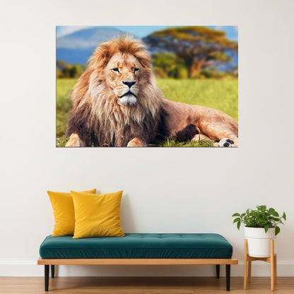 Wild Lion Dangerous Animals Nature Poster Wall Art Print Home Wall Decor - xonomax