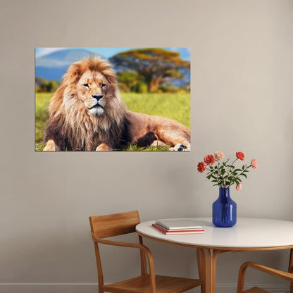 Wild Lion Dangerous Animals Nature Poster Wall Art Print Home Wall Decor - xonomax