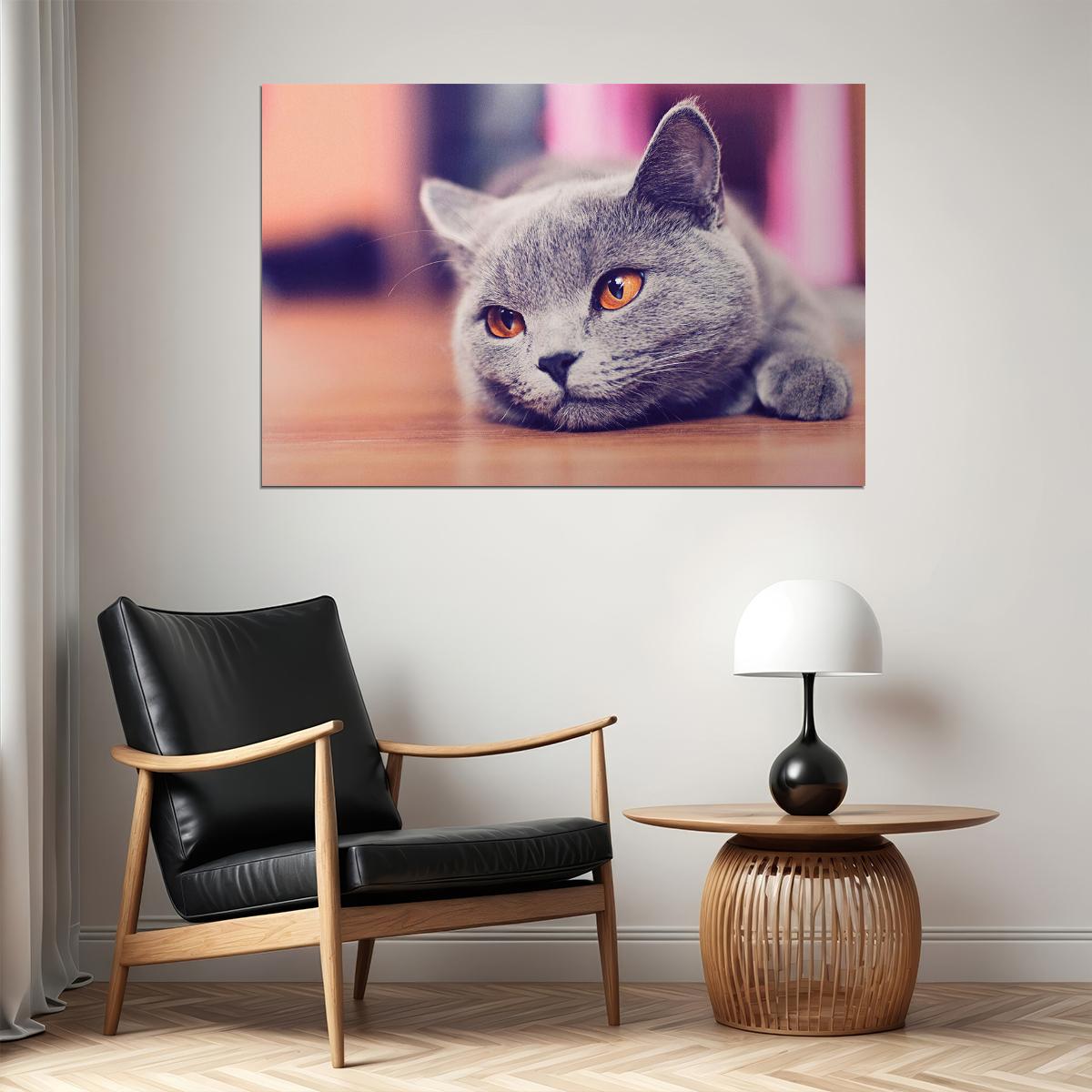 Gray Cat Lying On The Floor Wild Animal Nature Life Poster Wall Art Print Home Wall Decor - xonomax