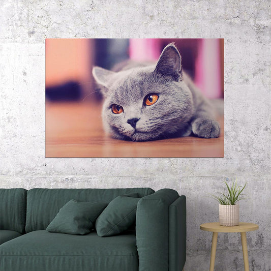 Gray Cat Lying On The Floor Wild Animal Nature Life Poster Wall Art Print Home Wall Decor - xonomax