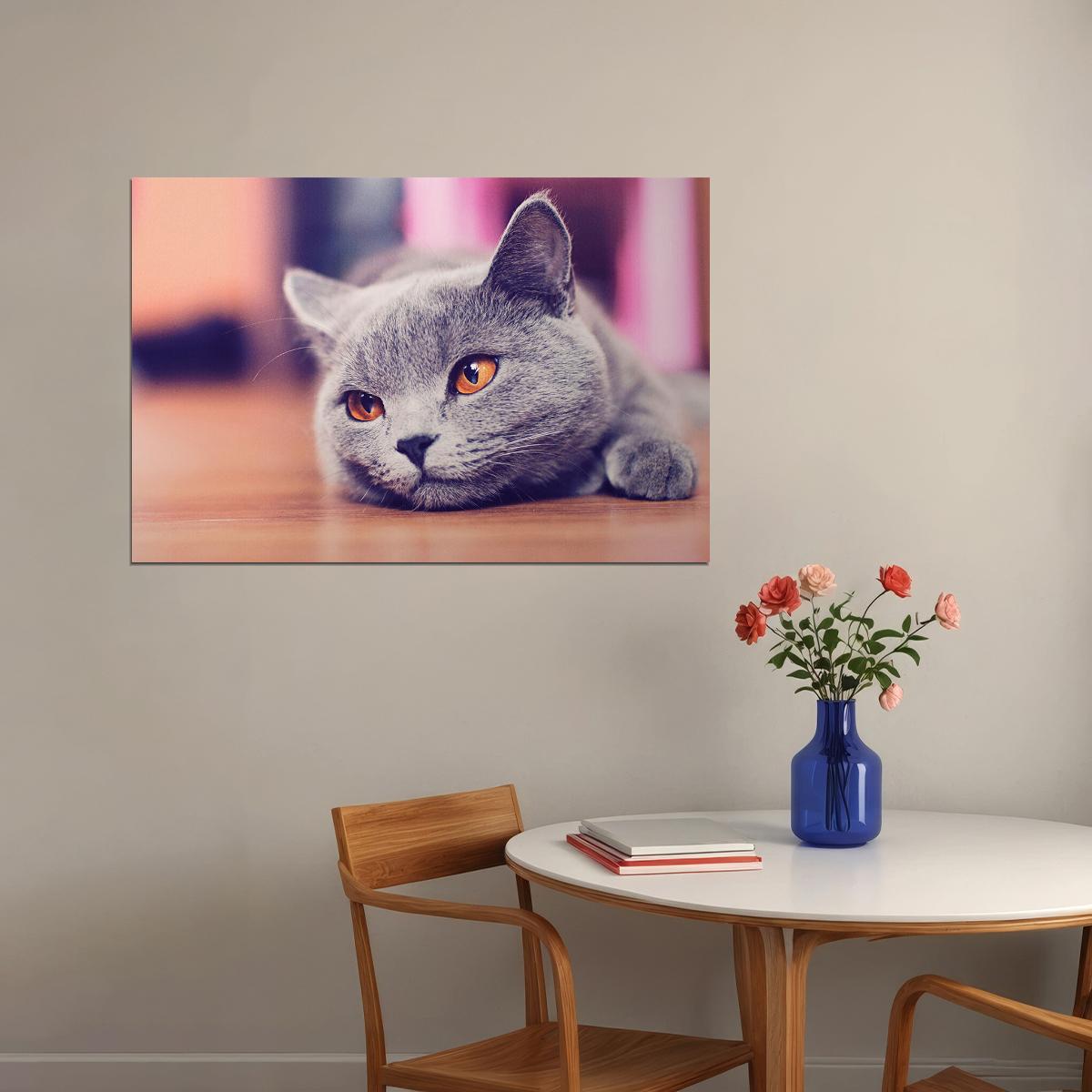 Gray Cat Lying On The Floor Wild Animal Nature Life Poster Wall Art Print Home Wall Decor - xonomax