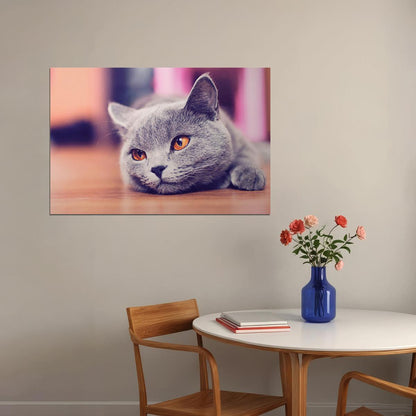 Gray Cat Lying On The Floor Wild Animal Nature Life Poster Wall Art Print Home Wall Decor - xonomax