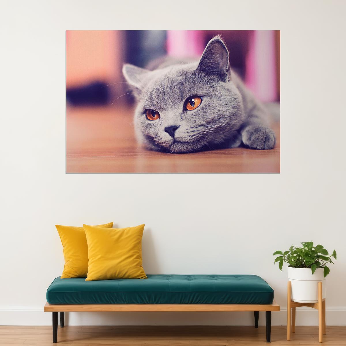 Gray Cat Lying On The Floor Wild Animal Nature Life Poster Wall Art Print Home Wall Decor - xonomax