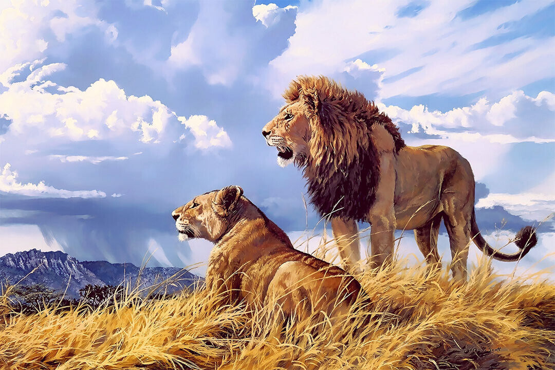 Lion Lioness Wild Animal Natural Life Poster Wall Art Print Home Wall Decor - xonomax