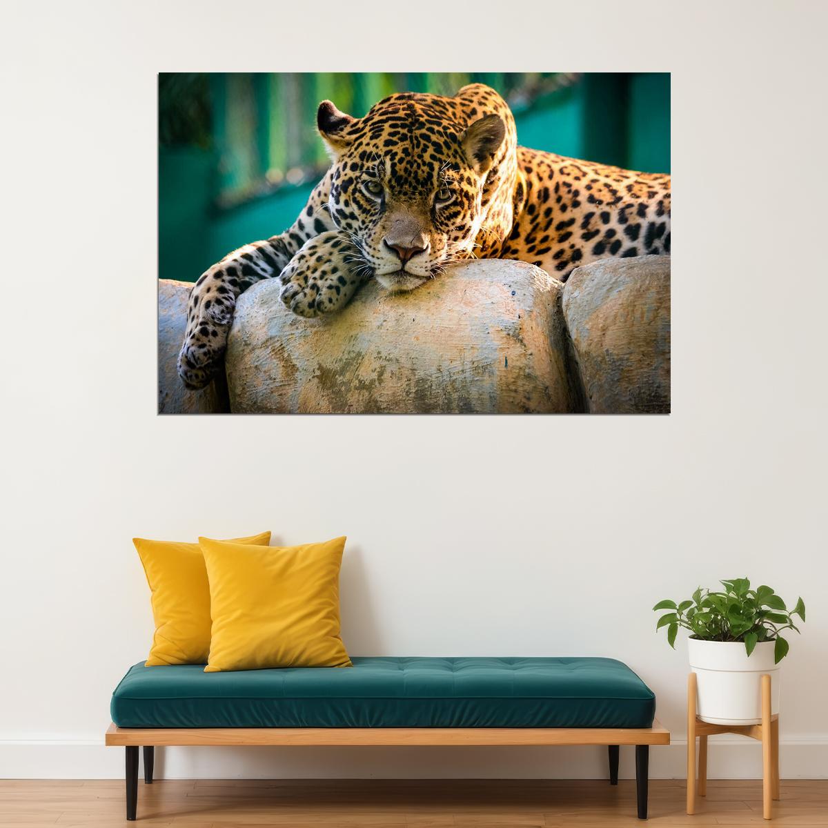 Leopard On Stone Wild Animal Life Poster Wall Art Print Home Wall Decor - xonomax