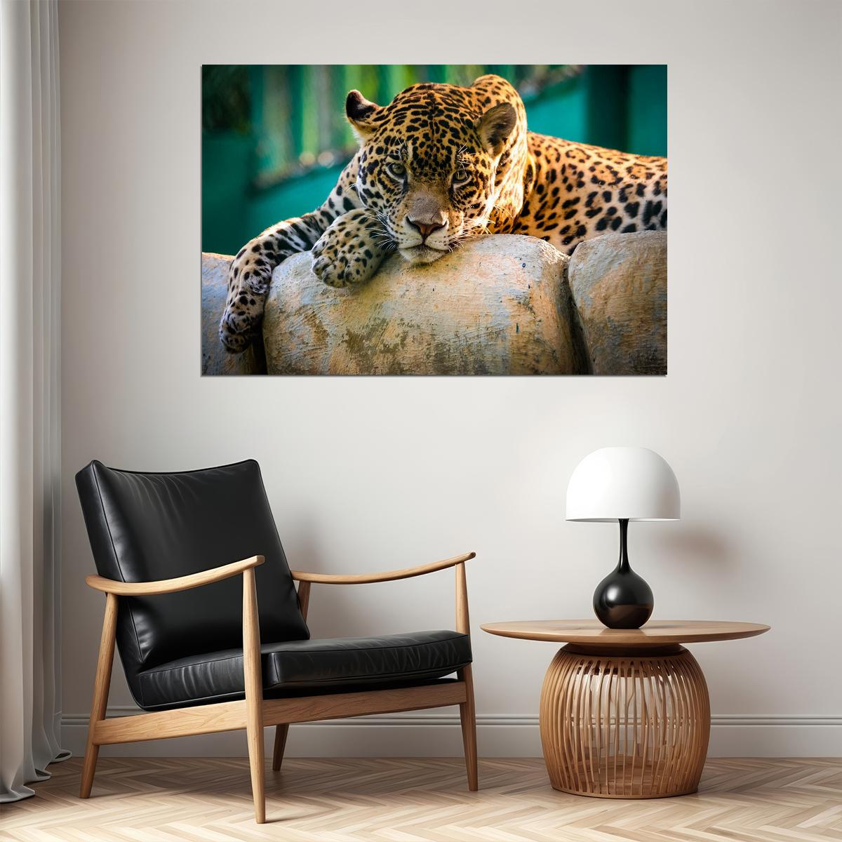 Leopard On Stone Wild Animal Life Poster Wall Art Print Home Wall Decor - xonomax