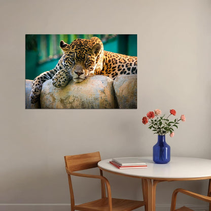 Leopard On Stone Wild Animal Life Poster Wall Art Print Home Wall Decor - xonomax