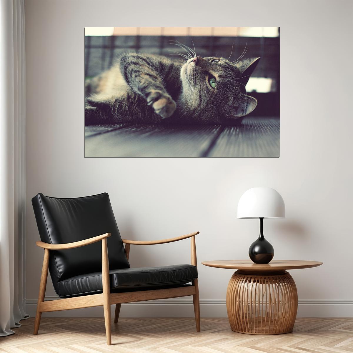 Cute Cat On The Ground Funny Animals Poster Wall Art Print Home Wall Decor - xonomax