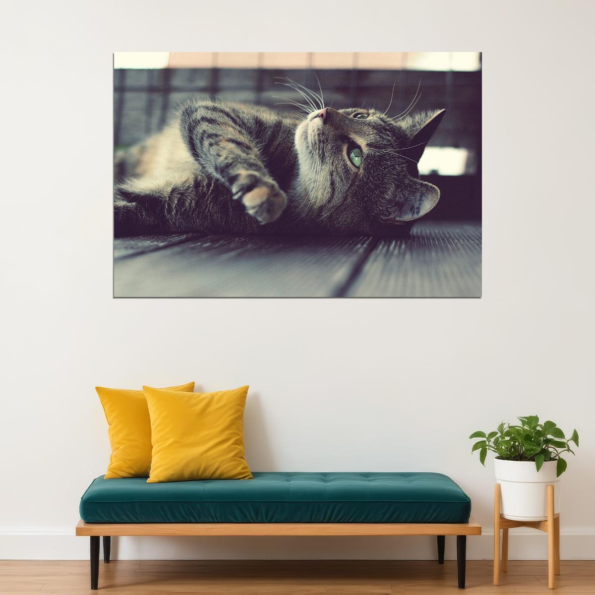 Cute Cat On The Ground Funny Animals Poster Wall Art Print Home Wall Decor - xonomax