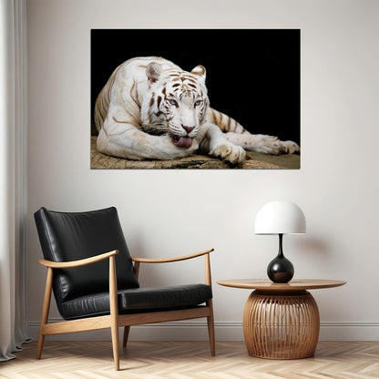 White Tiger Licking Its Paw Wild Animals Poster Wall Art Print Home Wall Decor - xonomax