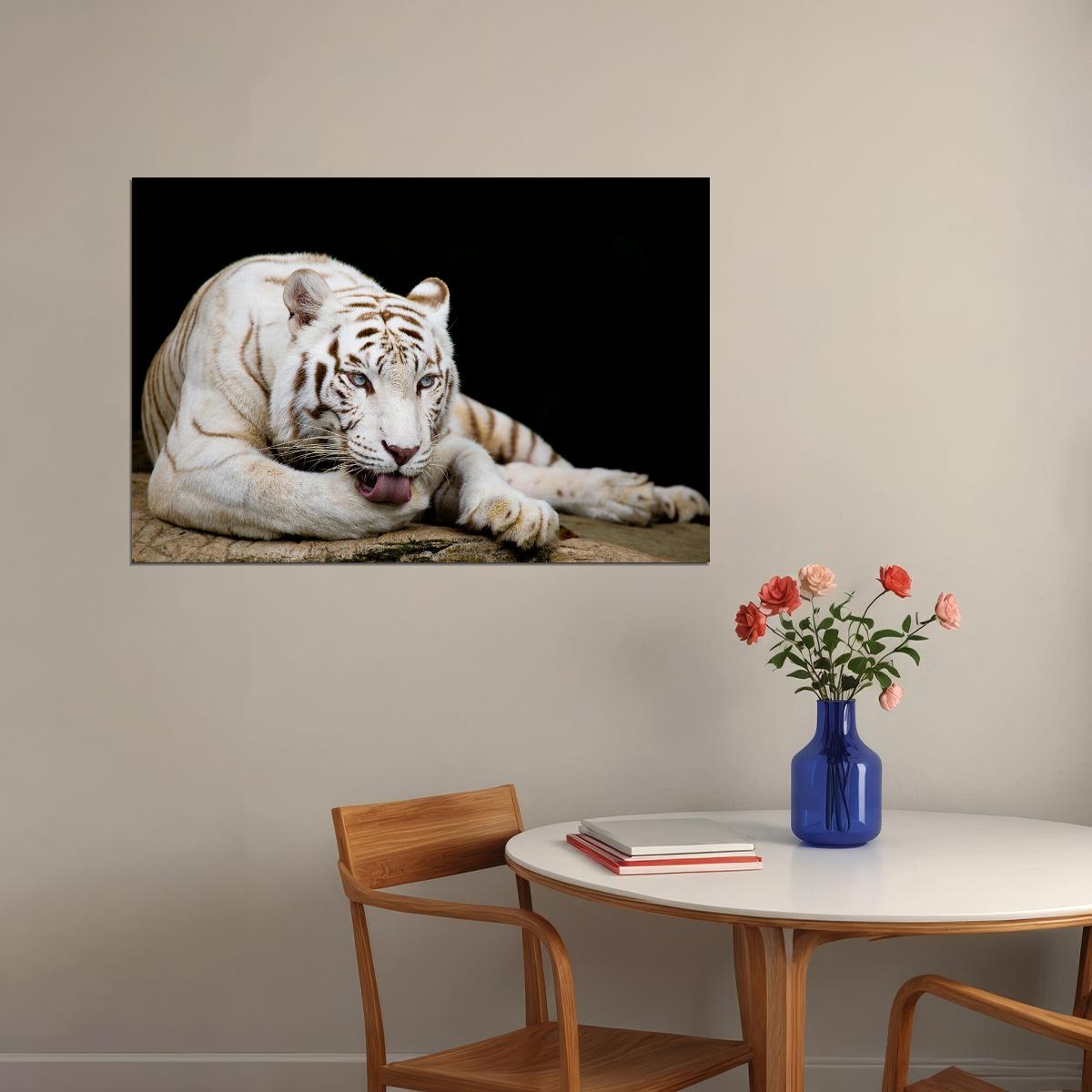 White Tiger Licking Its Paw Wild Animals Poster Wall Art Print Home Wall Decor - xonomax