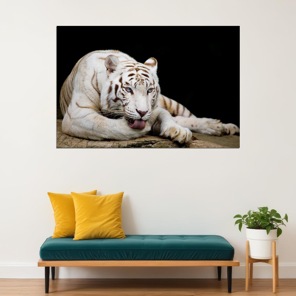 White Tiger Licking Its Paw Wild Animals Poster Wall Art Print Home Wall Decor - xonomax