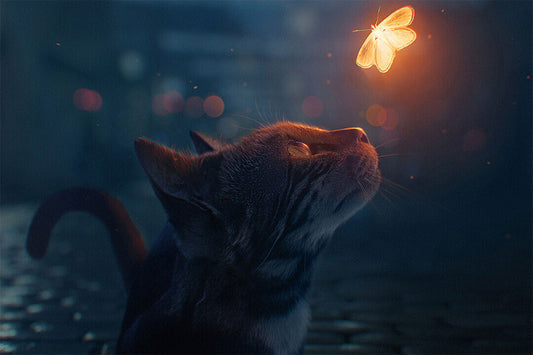 Cute Cat Luminous Butterfly Funny Animals Poster Wall Art Print Home Wall Decor - xonomax