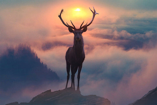 Reindeer On The Mountain Wild Life Animals Poster Wall Art Print Home Wall Decor - xonomax
