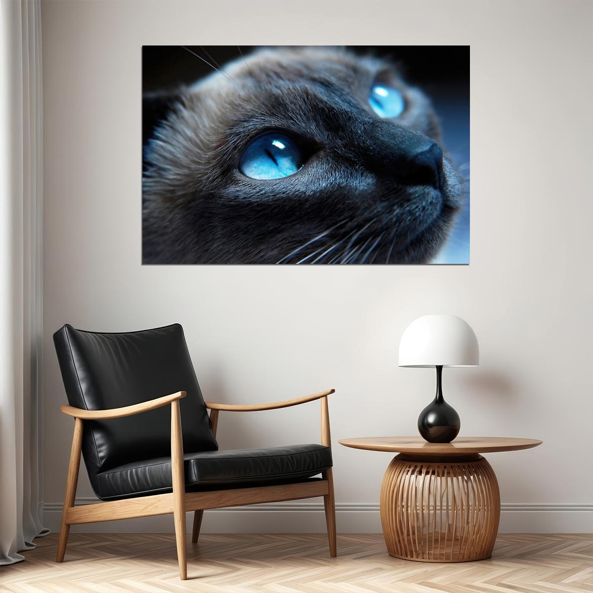 Blue Eyes Cat Looking Up Mammal Animals Poster Wall Art Print Home Wall Decor - xonomax