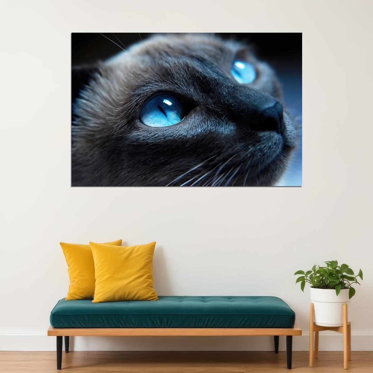 Blue Eyes Cat Looking Up Mammal Animals Poster Wall Art Print Home Wall Decor - xonomax
