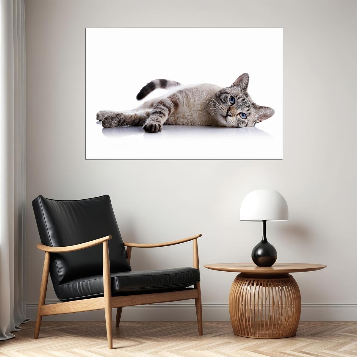Cute Cat Lying Down Animals Wild Life Poster Wall Art Print Home Wall Decor - xonomax