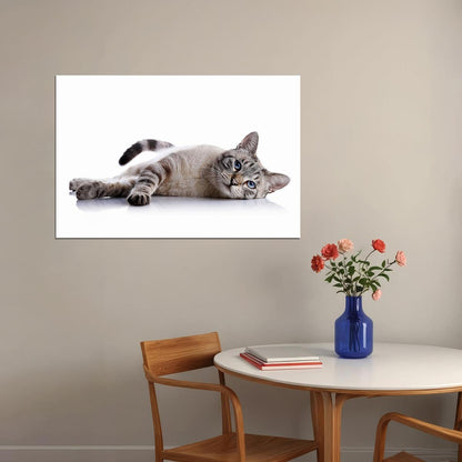 Cute Cat Lying Down Animals Wild Life Poster Wall Art Print Home Wall Decor - xonomax