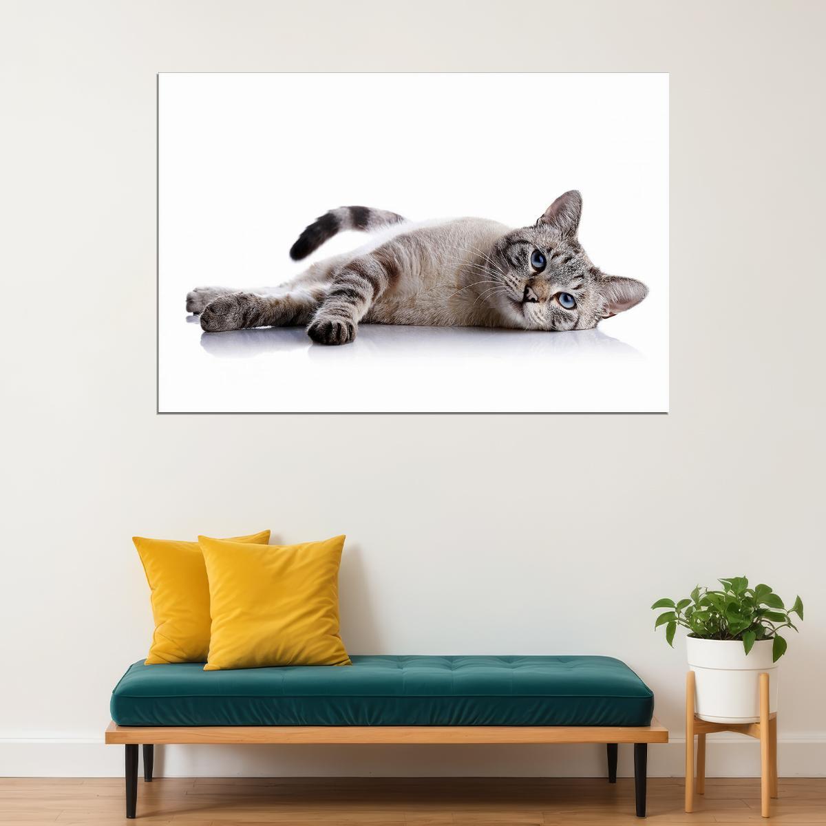 Cute Cat Lying Down Animals Wild Life Poster Wall Art Print Home Wall Decor - xonomax