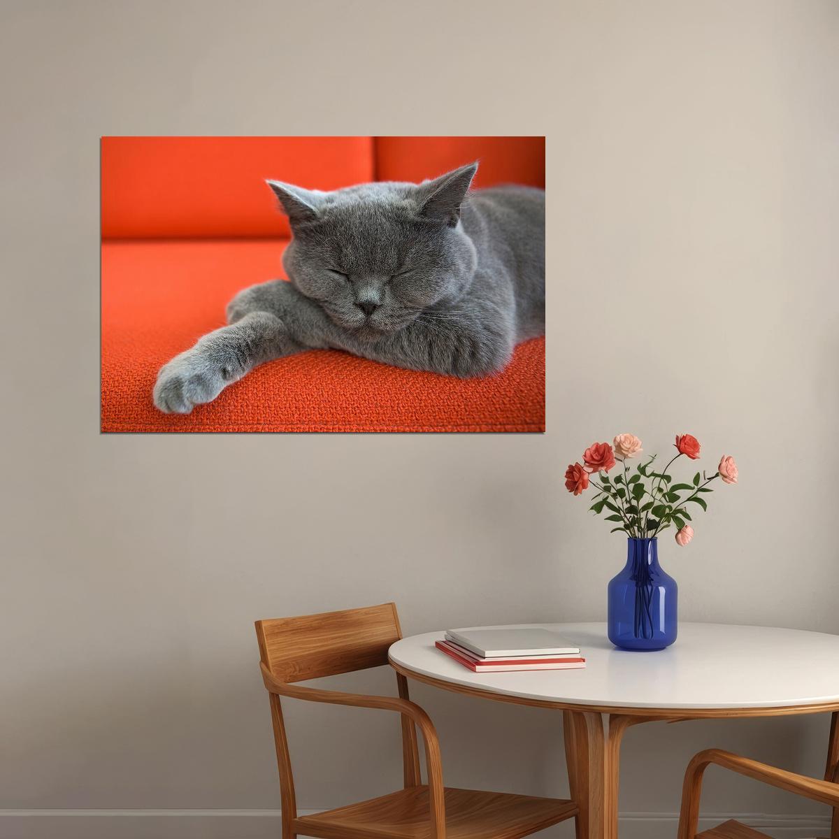 Cute Gray Cat Sleeping Animals Nature Life Poster Wall Art Print Home Wall Decor - xonomax