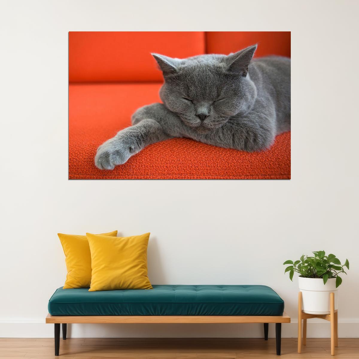 Cute Gray Cat Sleeping Animals Nature Life Poster Wall Art Print Home Wall Decor - xonomax