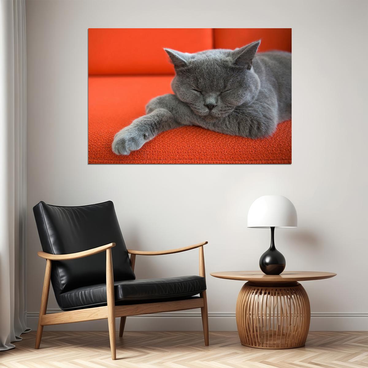Cute Gray Cat Sleeping Animals Nature Life Poster Wall Art Print Home Wall Decor - xonomax