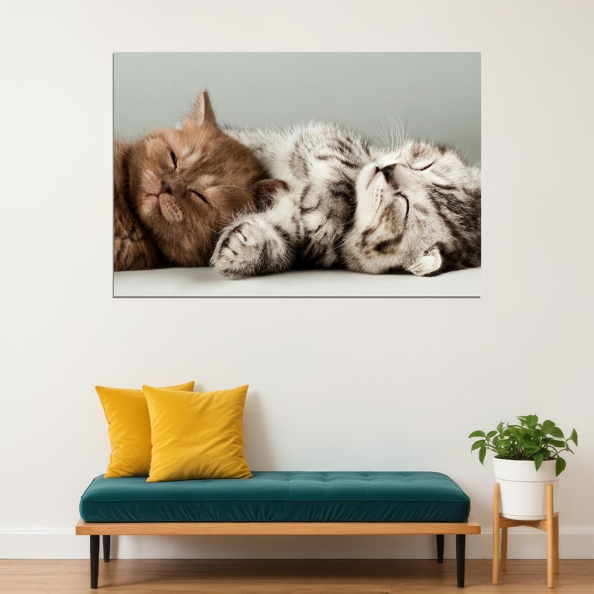Cute Colorful Kittens Cat Sleeping Animals Poster Wall Art Print Home Wall Decor - xonomax