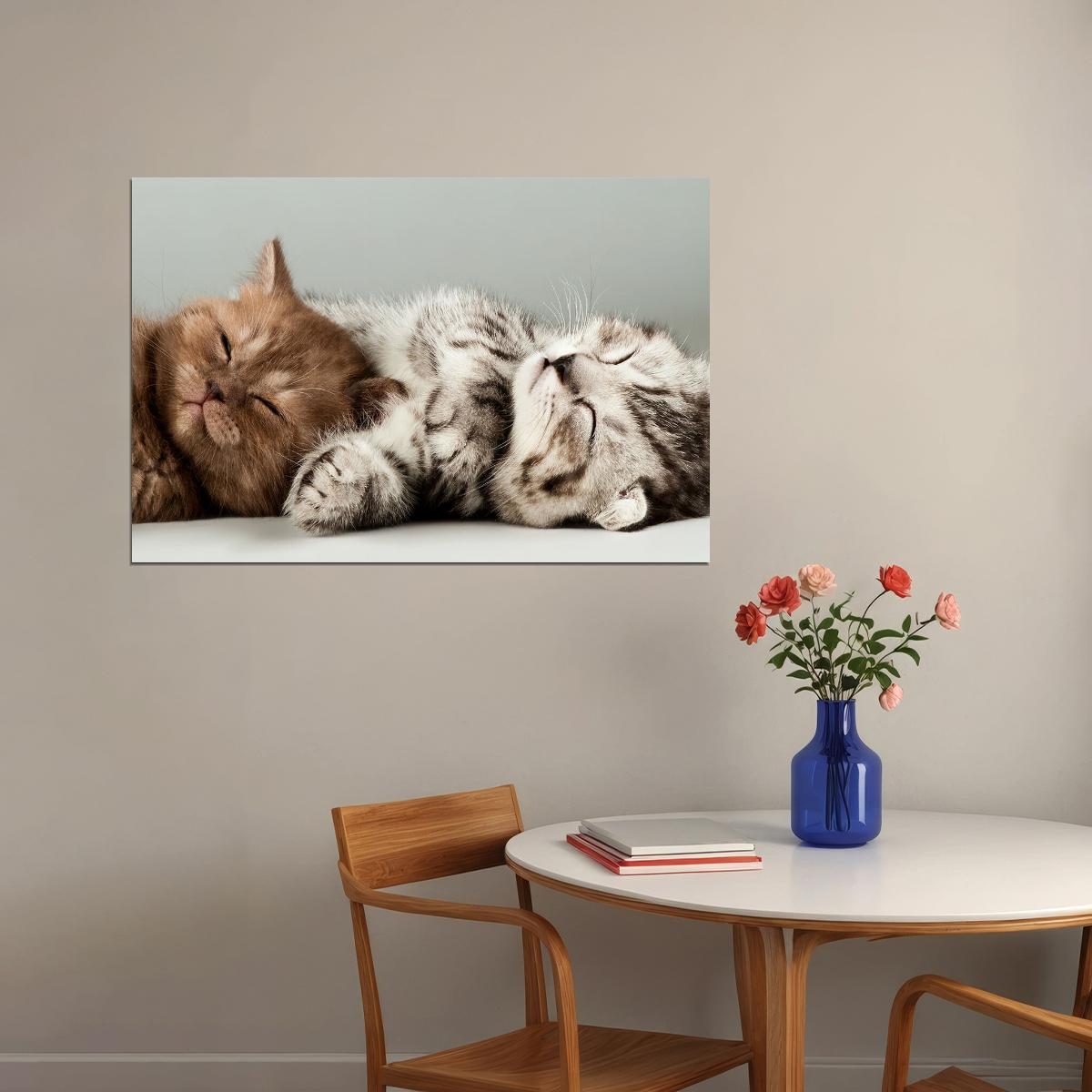 Cute Colorful Kittens Cat Sleeping Animals Poster Wall Art Print Home Wall Decor - xonomax