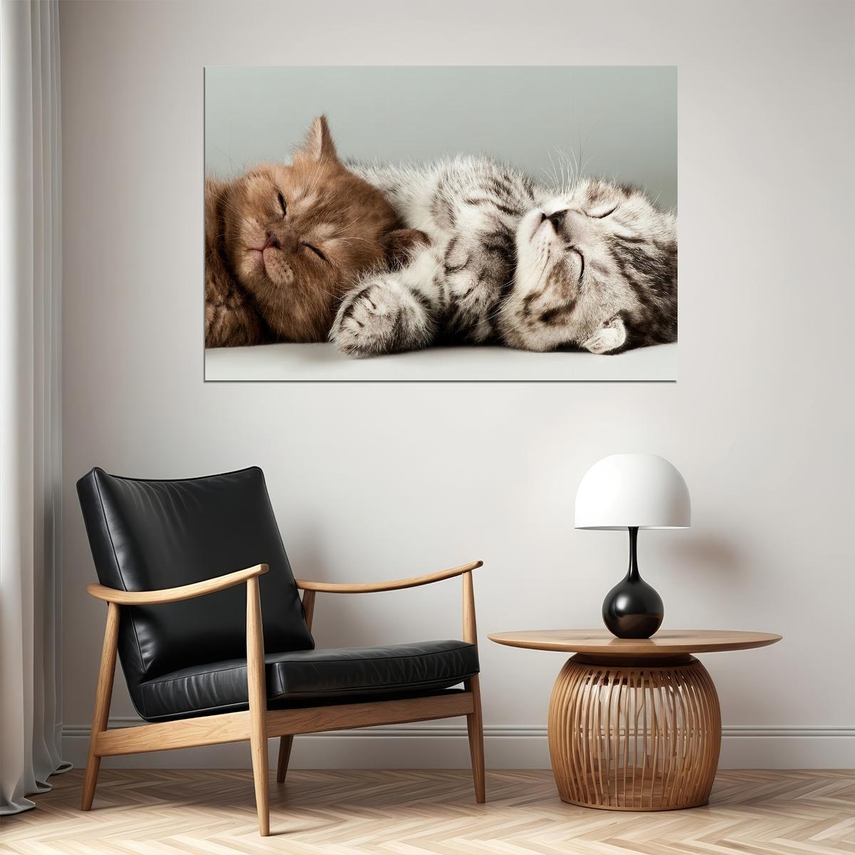 Cute Colorful Kittens Cat Sleeping Animals Poster Wall Art Print Home Wall Decor - xonomax