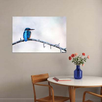 Kingfisher Bird Standing On Branch Animals Poster Wall Art Print Home Wall Decor - xonomax