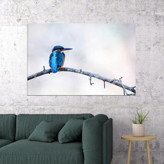 Kingfisher Bird Standing On Branch Animals Poster Wall Art Print Home Wall Decor - xonomax