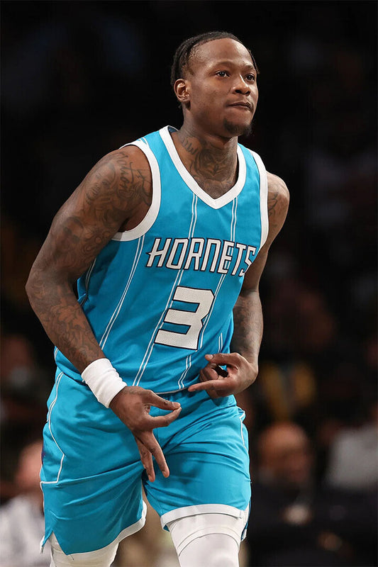 Charlotte Hornets Player Basketball Terry Rozier Poster Wall Art Print Home Wall Decor - xonomax