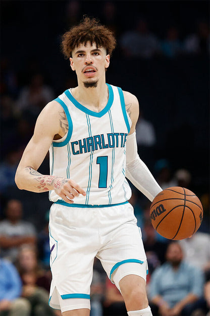 Lamelo Ball Basketball Charlotte Hornets Sports Poster Wall Art Print Home Wall Decor - xonomax