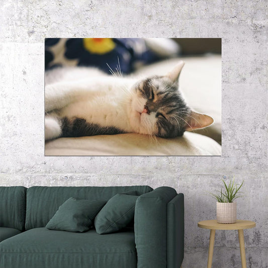 Cat Sleeping Cute Animals Nature Life Poster Wall Art Print Home Wall Decor - xonomax