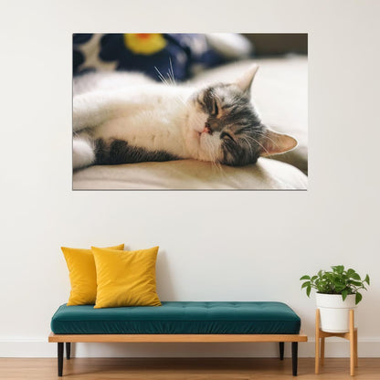Cat Sleeping Cute Animals Nature Life Poster Wall Art Print Home Wall Decor - xonomax