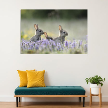 Three Rabbits Animal Herbivore Animals Nature Life Poster Wall Art Print Home Wall Decor - xonomax