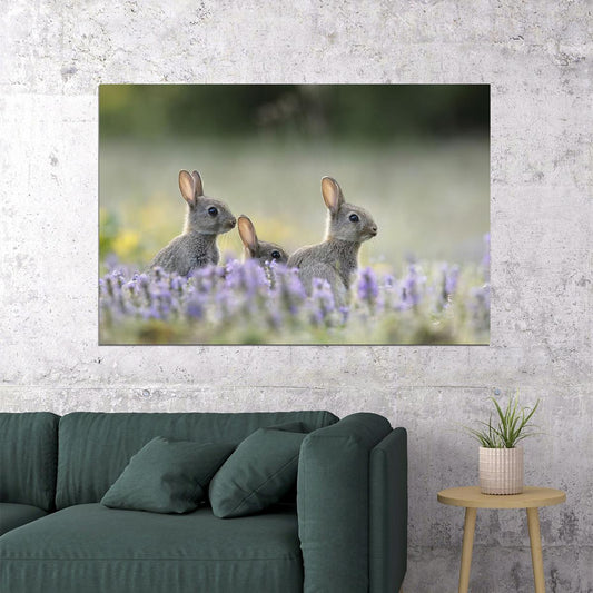 Three Rabbits Animal Herbivore Animals Nature Life Poster Wall Art Print Home Wall Decor - xonomax