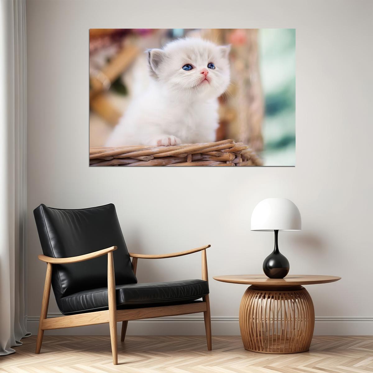 Cute White Cat In Basket Kitten Animals Poster Wall Art Print Home Wall Decor - xonomax