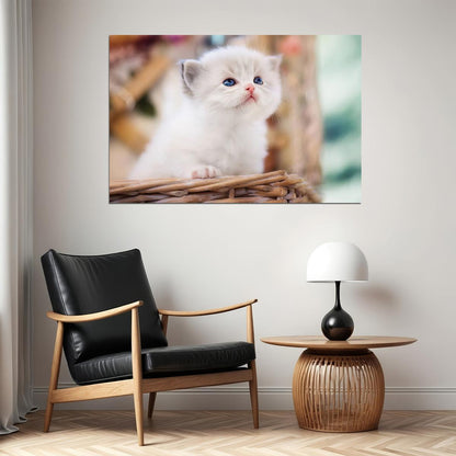 Cute White Cat In Basket Kitten Animals Poster Wall Art Print Home Wall Decor - xonomax