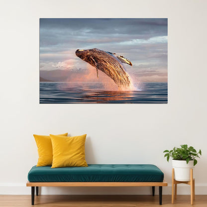 Humpback Whale Ocean Sea Animals Poster Wall Art Print Home Wall Decor - xonomax